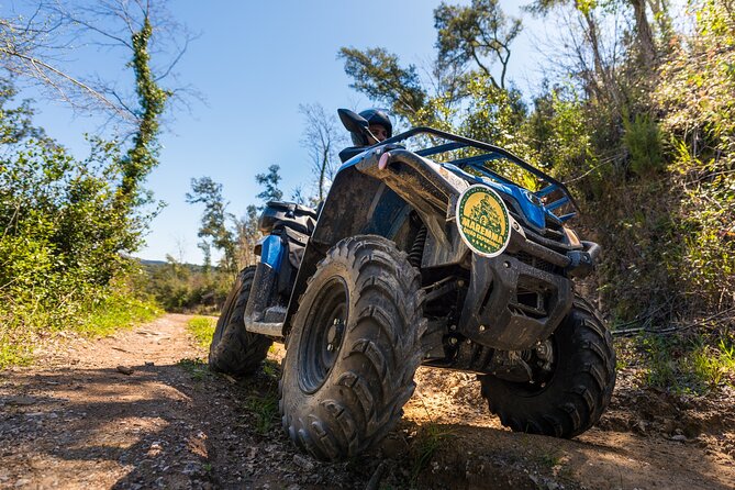 Quad excursion in the Maremma with barbecue in the woods - Price and value: is $96.11 a fair deal?