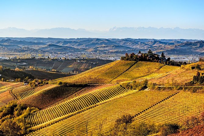Radda in Chianti: Wine Tasting Tour with lunch at the Winery - Key highlights you’ll feel right away