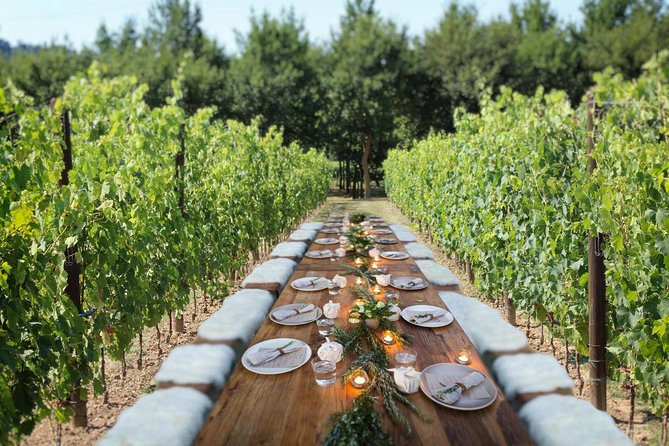 Romantic Lunch in the Vine Rows in Tuscany - Strolling the Tenuta Grounds: Vines, Olive Groves, and the Pre-Meal Mood