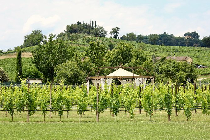 Romantic Lunch in the Vine Rows in Tuscany - The Four-Course Lunch Menu: Truffle Lasagna, Ribollita, Roast Meat, and Cantuccini