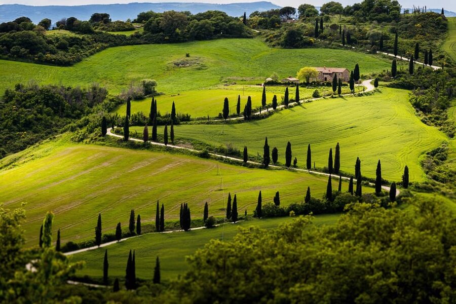 ROMANTIC WINE TOUR FOR 2 - Wine Tour in Chianti (Tuscany) - Winery stop #2: more styles, more process, and a deeper look