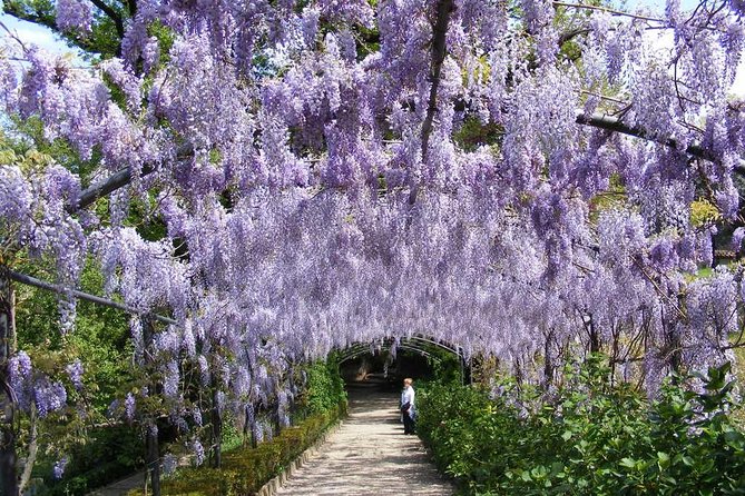 Royal Paths of Florence: Explore the Boboli Gardens - Giardino del Cavaliere, Kaffeehaus, and Buontalenti’s Grotto: the quirky, fun finale