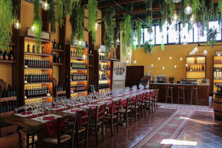 San Gimignano: 2-Hour Wine & Gourmet Tasting with Drinks - The Meal Portion: Tuscan Treats Matched to What You Tasted