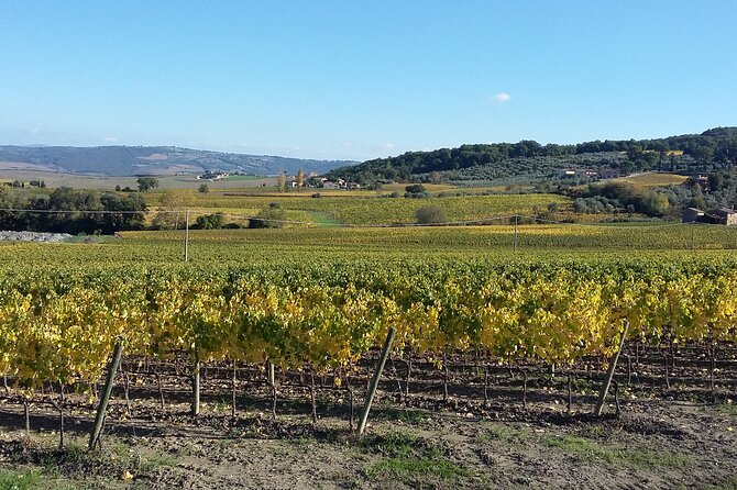 San Gimignano and Chianti tour - Marco Behind the Wheel: Why Private Means Easy