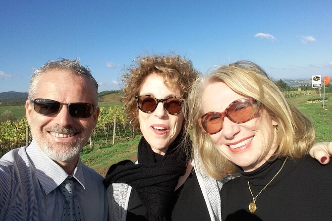 San Gimignano and Chianti tour - San Gimignano: Towers, Streets, and Vernaccia Break