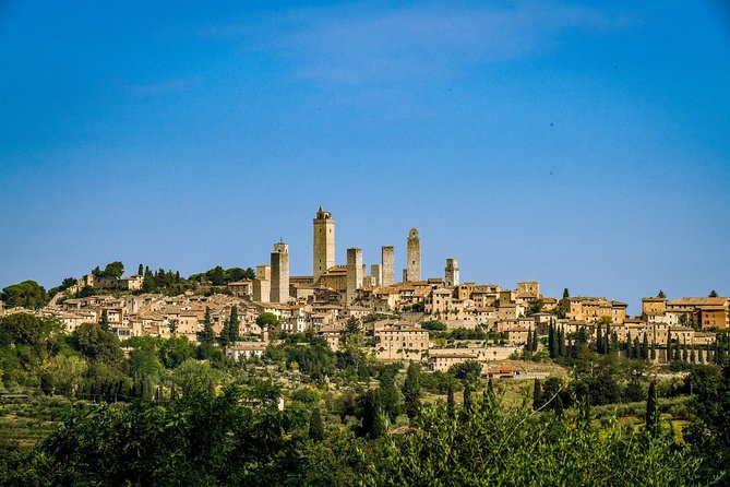 San Gimignano: Chianti wine tasting - Best Time to Book and When to Slot It Into Your Day