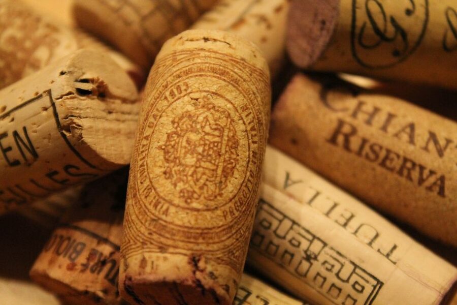 San Gimignano: Chianti wine tasting experience - Cellar and vine walk: seeing where the wine comes to life