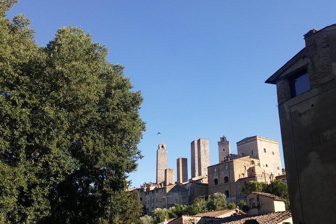 San Gimignano: Chianti wine tasting - The Tasting Experience: Bruschetta, Meats, Cheeses, and Several Chiantis