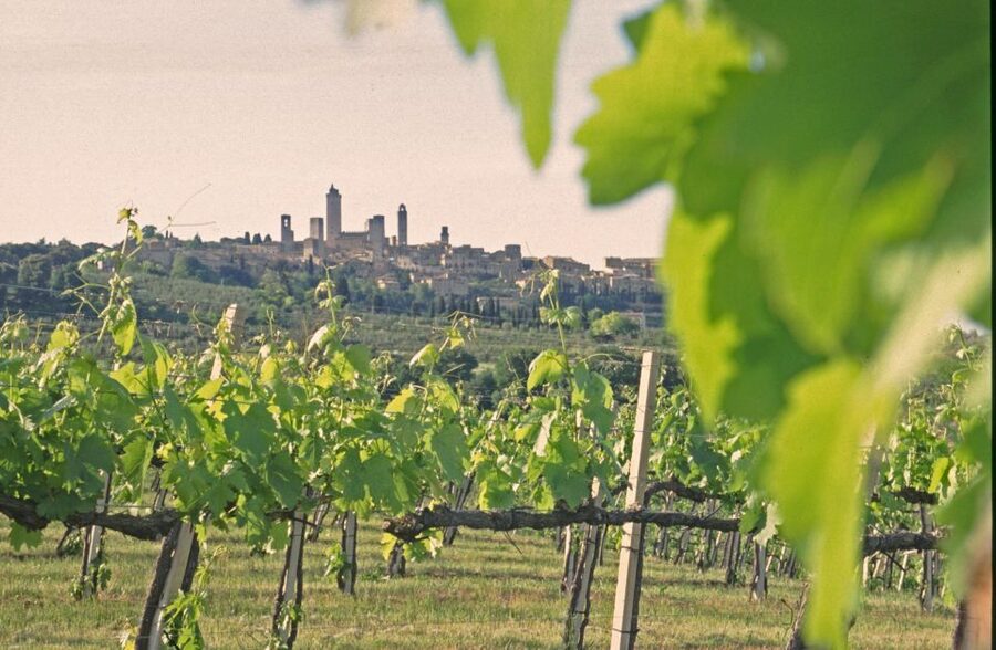 SAN GIMIGNANO: DEGUSTAZIONE CON VISTA SULLE TORRI - Key Things to Know Before You Go