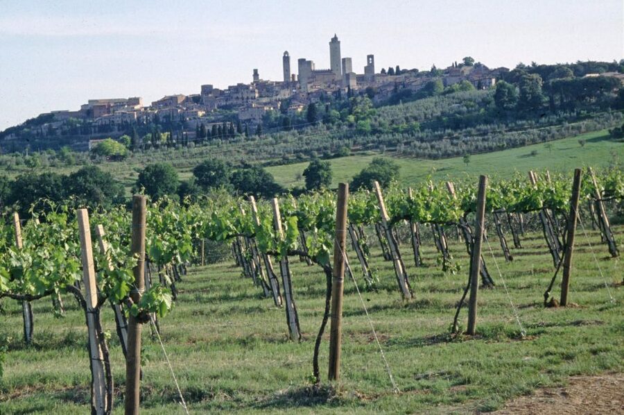 SAN GIMIGNANO: DEGUSTAZIONE CON VISTA SULLE TORRI - Meeting at Fattoria Abbazia Monte Oliveto (and Why It Helps)