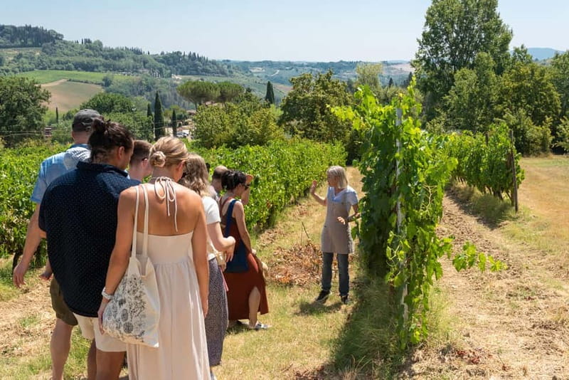 San Gimignano: Mini Wine Tour with Tuscan aperitif - San Gimignano at 4 PM: a mini tour that works for real travel days