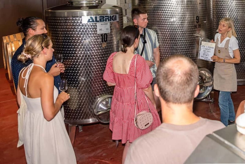 San Gimignano: Mini Wine Tour with Tuscan aperitif - Should you book the Tenuta Guardastelle mini wine tour?