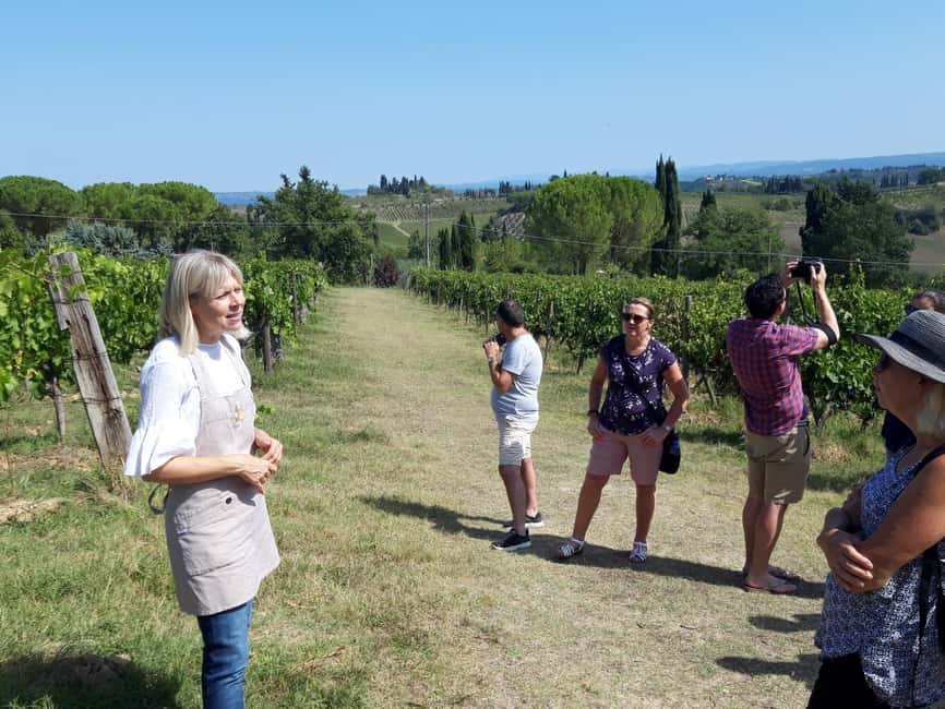 San Gimignano: Premium Wine Tour with Lunch - Key things to know before you go