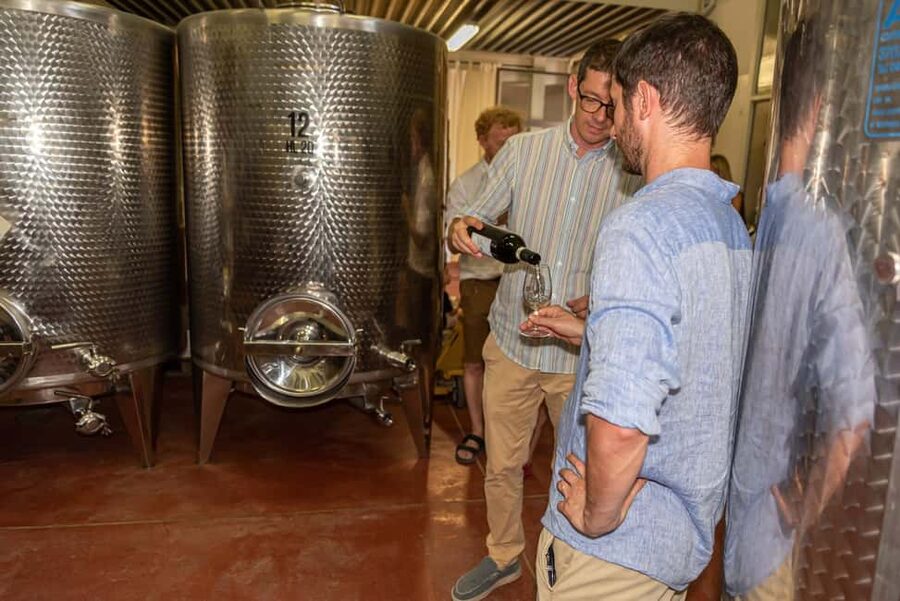 San Gimignano: Premium Wine Tour with Lunch - Should you book? My take on the decision