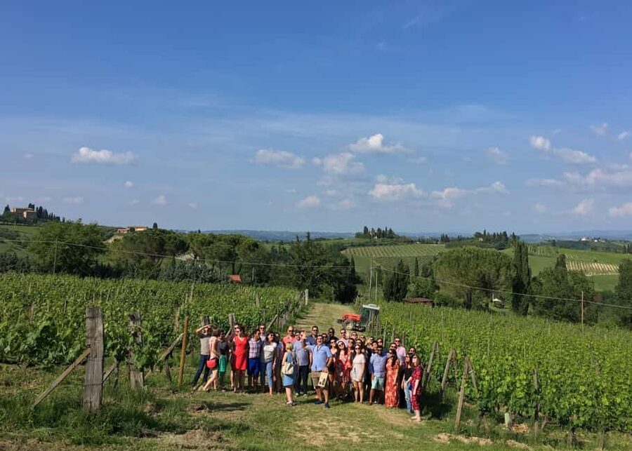 San Gimignano: Premium Wine Tour with Lunch - Wine cellar visit: where aging techniques become real, not abstract