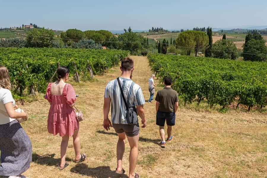 San Gimignano: Premium Wine Tour with Lunch - Lunch with local products: pappa al pomodoro to Pecorino Senese