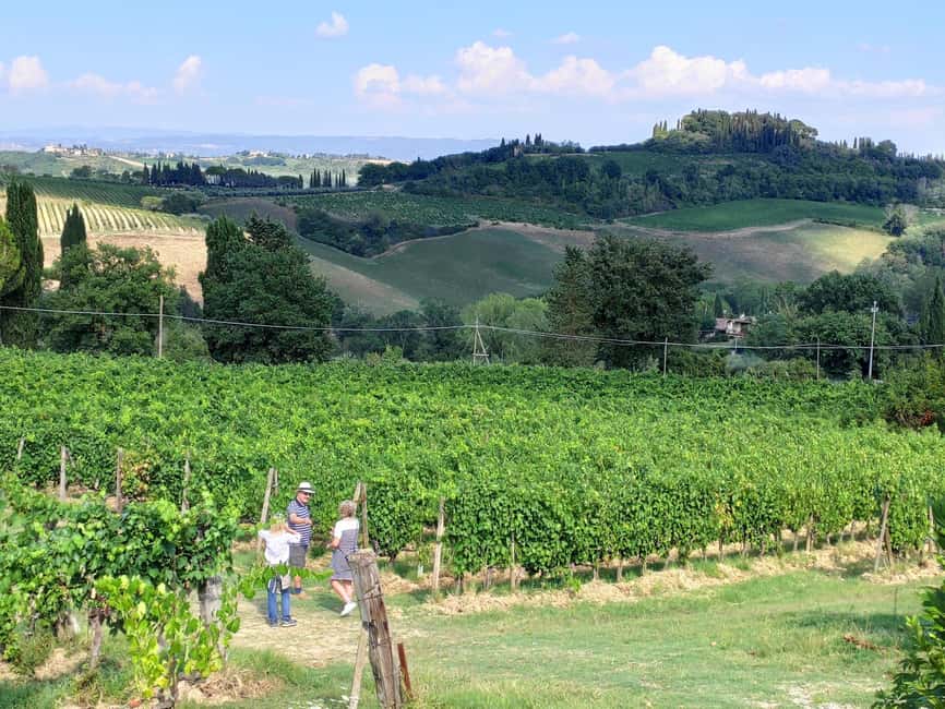San Gimignano: Premium Wine Tour with Lunch - Price and value: what $77 buys you in the real world