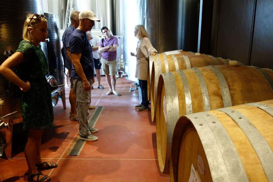 San Gimignano: Premium Wine Tour with Lunch - Who this San Gimignano wine tour fits best