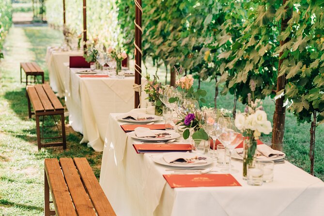 San Gimignano Romantic Dinner in the Vineyards - Value check: what $150.60 buys you in Tuscany