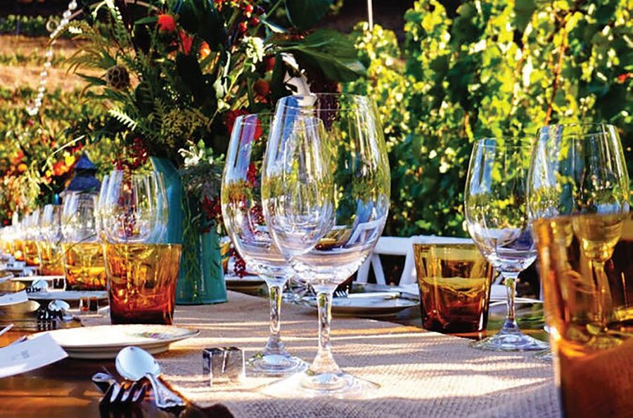 San Gimignano: Romantic Vineyard Dinner - Key Highlights (the stuff that matters)