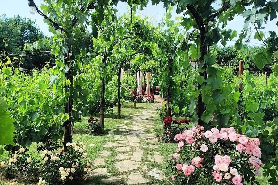 San Gimignano: Romantic Vineyard Dinner - Meeting Point, Timing, and Getting There Without Stress