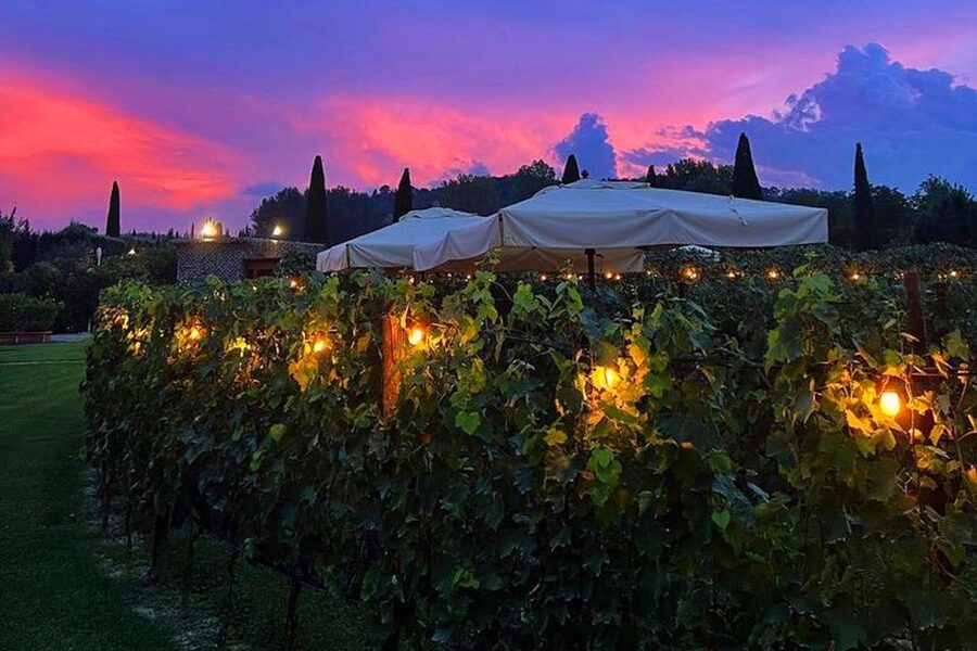 San Gimignano: Romantic Vineyard Dinner - Price and Value: Is $141.61 Per Person Worth It?
