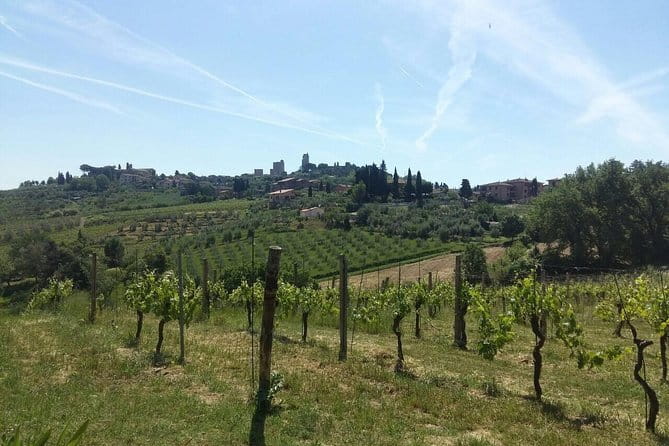 San Gimignano, Saffron and Vernaccia Wine from Florence - Key Highlights at a Glance