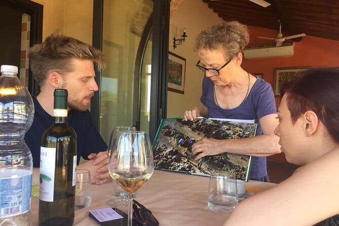 San Gimignano, Saffron and Vernaccia Wine from Florence - 9:30 From Piazza Torquato Tasso: Transport That Does the Thinking