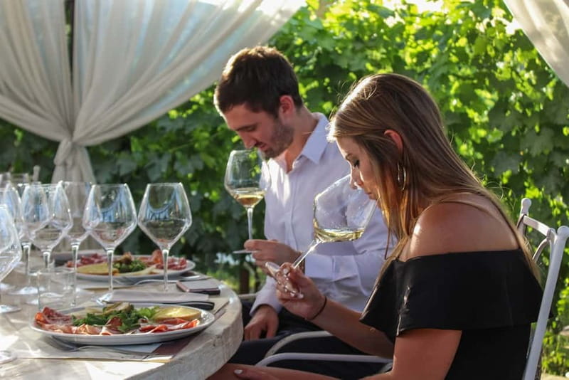 San Gimignano: Tasting of Tuscan Wines and Cheeses - Tenuta Torciano Tasting Room: What the Setting Feels Like