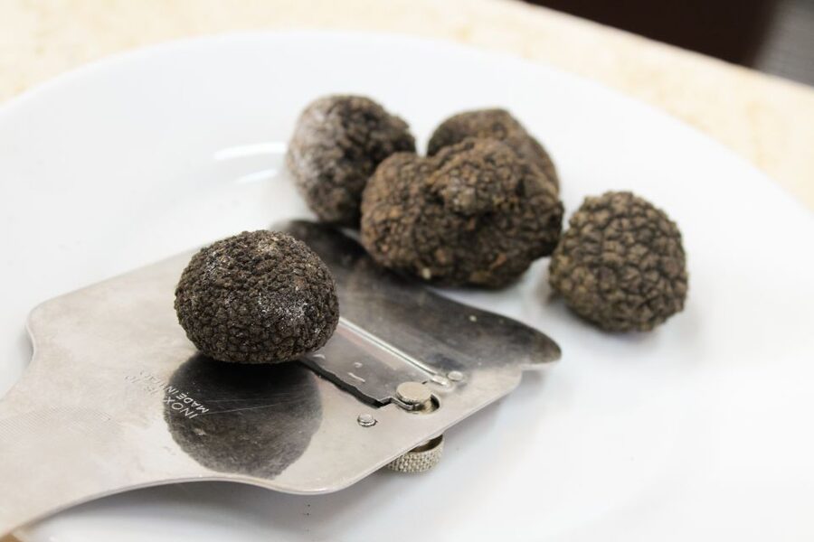 San Gimignano: Truffle Cooking Class with Wine Tasting - Tenuta Torciano Winery in San Gimignano: the setting you’ll remember