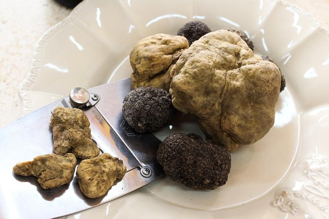 San Gimignano Truffle Hunt & Truffle Cooking Class - Cooking class in English: building truffle recipes step-by-step