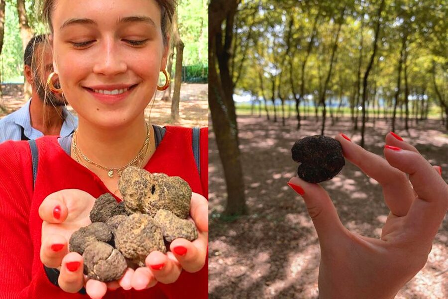 San Gimignano: Truffle Hunting with Lunch & Wine Tasting - Who this tour fits best (and who might want another option)