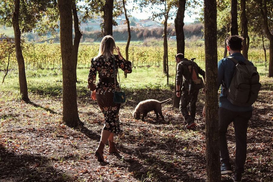 San Gimignano: Truffle Hunting with Lunch & Wine Tasting - Practical tips before you go (so the hunt doesn’t feel like a hassle)