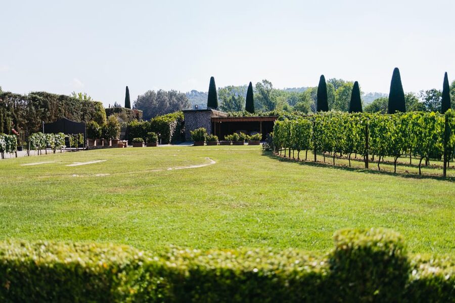 San Gimignano: Tuscan Vineyard Lunch with Wine Tasting - A Vineyard Lunch at Tenuta Torciano Winery: The Real Point of This Experience
