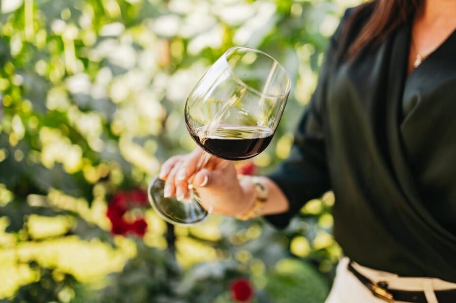 San Gimignano: Tuscan Vineyard Lunch with Wine Tasting - The Two-Hour Flow: What Happens After You Arrive