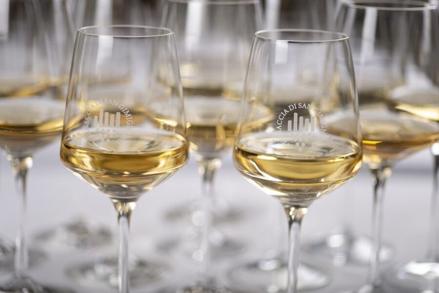 San Gimignano: Vernaccia Wine Tasting Experience - Key highlights at a glance