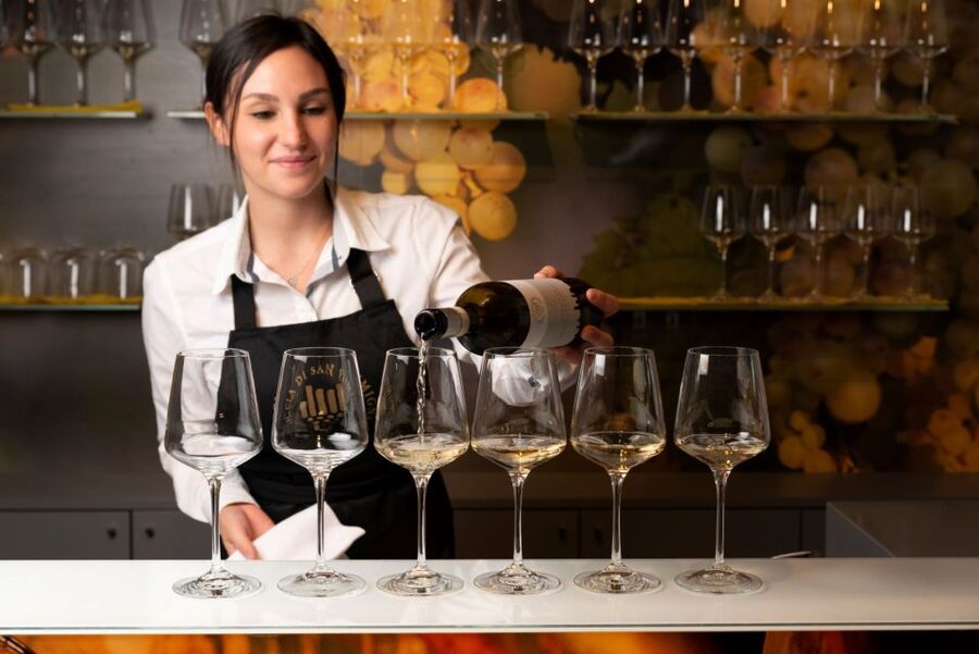 San Gimignano: Vernaccia Wine Tasting Experience - Your tasting flight: DOCG d’annata, reserve, and San Gimignano DOC red