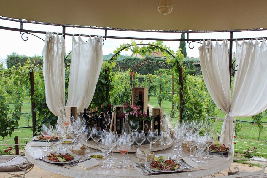 San Gimignano: Vineyard Walk with Wine Tasting in winery - Price and value: is $100 worth it?