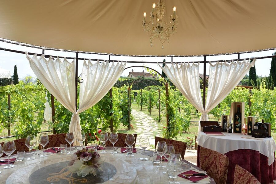 San Gimignano: Vineyard Walk with Wine Tasting in winery - Who this tour suits best (and who should think twice)