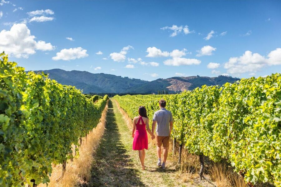 San Gimignano: Vineyard Walk with Wine Tasting in winery - Wine tasting at the tasting room: how to get more from the pour