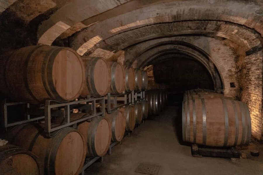 San Gimignano: Wine and Food Tasting in a Family Winery - The tasting lineup: Vernaccia, Chianti, rosé, Arturo, and Vin Santo