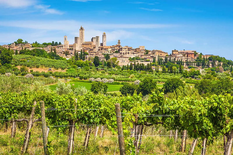 San Gimignano: Wine and Oil Tasting with Tuscan Appetizers - The food pairing: pecorino, cured meats, and bruschetta