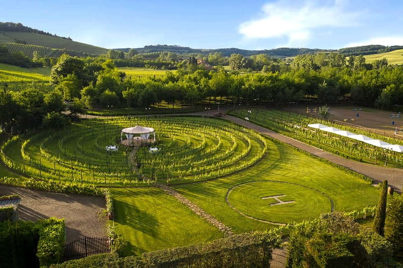 San Gimignano: Wine and Oil Tasting with Tuscan Appetizers - Who this is best for (and who might want a different format)