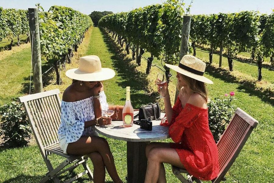 San Gimignano Wine Tasting and Class in Winery for Beginners - The 60 minutes: a guided flight from white to red