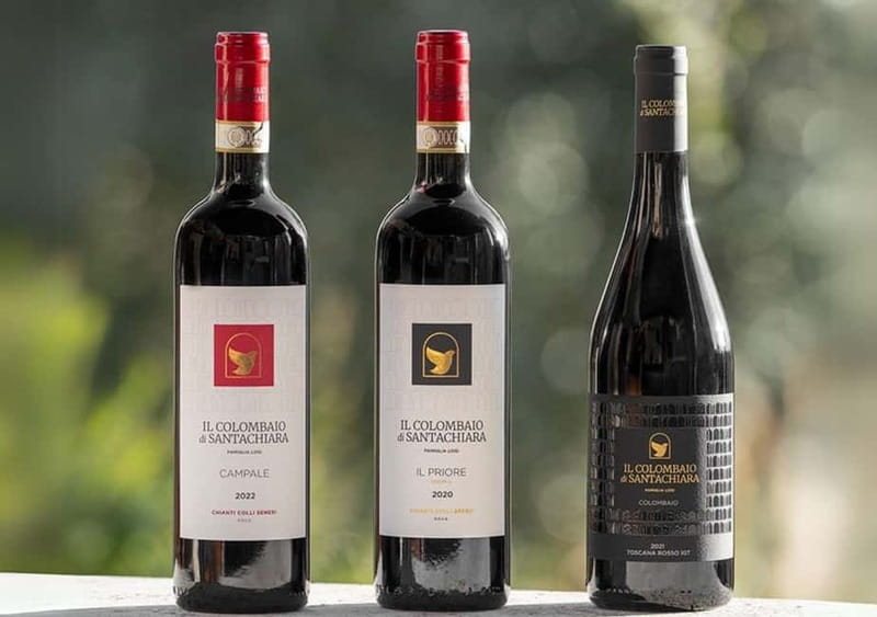San Gimignano: Wine Tasting Experience at Il Colombaio - Cold cuts and local cheeses: the pairing part that actually helps