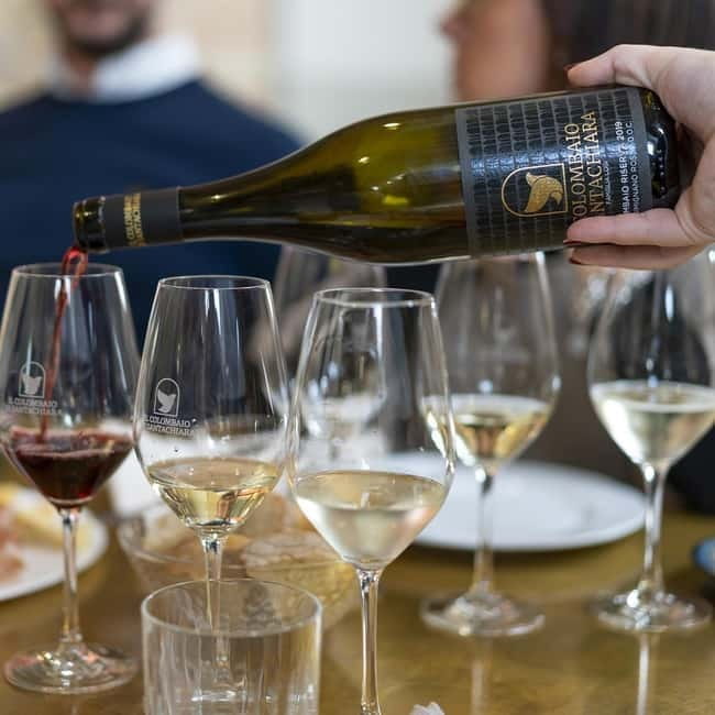 San Gimignano: Wine Tasting Experience at Il Colombaio - Timing, duration, and how the session fits your day