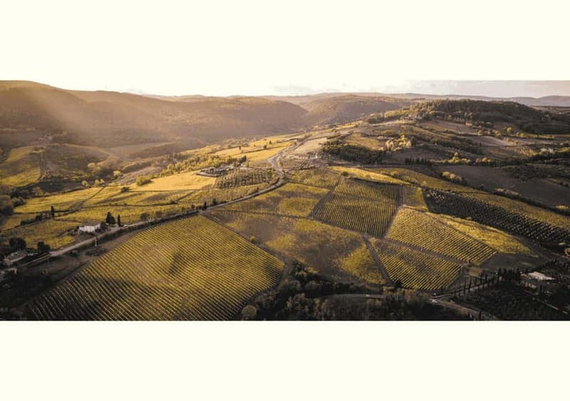 San Gimignano: Wine Tasting Experience at Il Colombaio - Price and value: is $47 per person worth it?