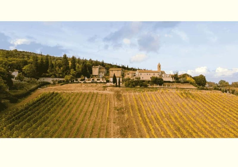 San Gimignano: Wine Tasting Experience at Il Colombaio - Olive oil first: why the order matters