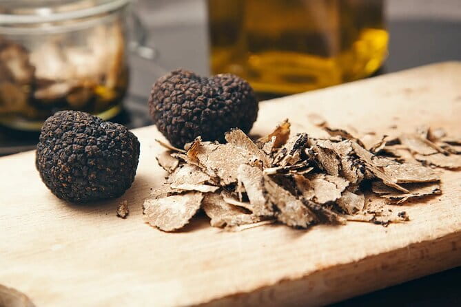 San Gimignano Wine Tasting With Truffle Tour - Two hours of truffle hunting in the Tuscany woods