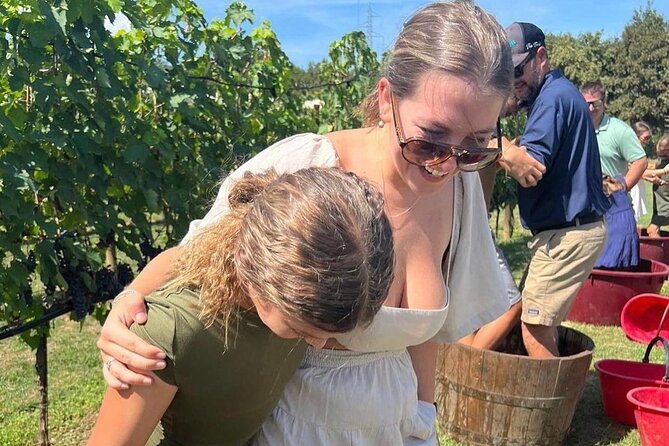 San Gimignano Wine Tour and tuscan appetizer for small group - Key highlights to look for